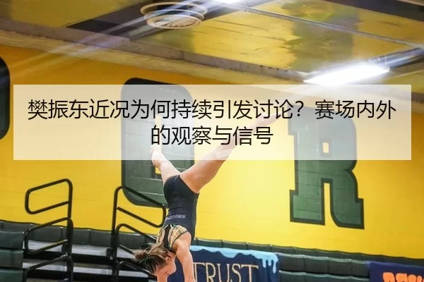 樊振东近况为何持续引发讨论？赛场内外的观察与信号
